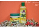 Organics Cholesterol Tea-Tree Oil Leave In Conditioner by Africas Best Organics and Stimulating Therapy Shampoo