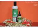PARNEVU organic T Tree Shampoo and Scalp Oil